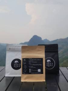 เมล็ดกาแฟคั่ว 4143 กระบวนการทำแบบ Washed Process (คั่วอ่อน)