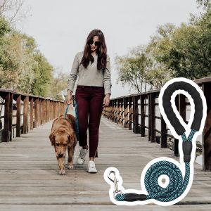 Strong Dog Leash Extra Heavy Duty Rock Climbing Rope Comfortable Padded Handle Reflective Threads