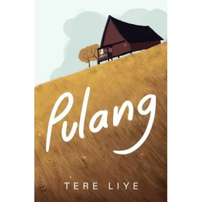 Novel Pulang - Tere Liye