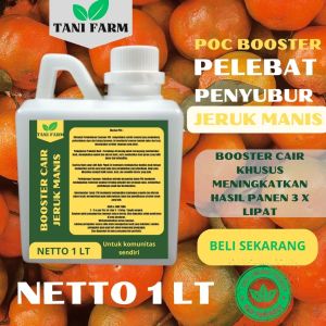 Pupuk Semprot Pelebat JERUK MANIS Pupuk Pelebat JERUK MANIS Pupuk JERUK MANIS ZPT