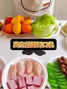 Vacuum Sealer Machine Automatic Vacuum Sealing Packing Machine for Food Storage
