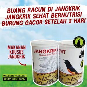 SEMPATI Pakan Khusus Jangkrik Untuk Burung Murai Kacer Cucak Anis Jadi Gacor Jangkrik Vit Sempati CRHJANG