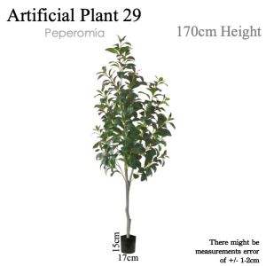[WITH FREE GIFT] Peperomia Tree Artificial Plant Artificial Tree Free Planter Basket Free Plastic Plant Pot Indoor Plant Indoor Decoration Home Decor Fake Plant Tree Decor Tall Plant Pokok Hiasan Pokok Palsu Plant Decor Living Room Entrance Office