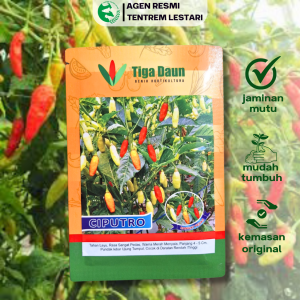 Benih Cabe Rawit CIPUTRO 10 Gram Asli Cap TIGA DAUN Lebat & Ekstra Bandel