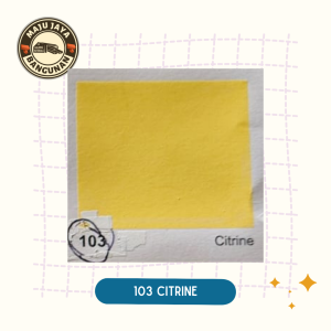 Cat Tembok Avitex Wizz Cat Tembok Interior by Avian Paint Avitex Wizz 5 kg Cat Avitex wizz 5kg