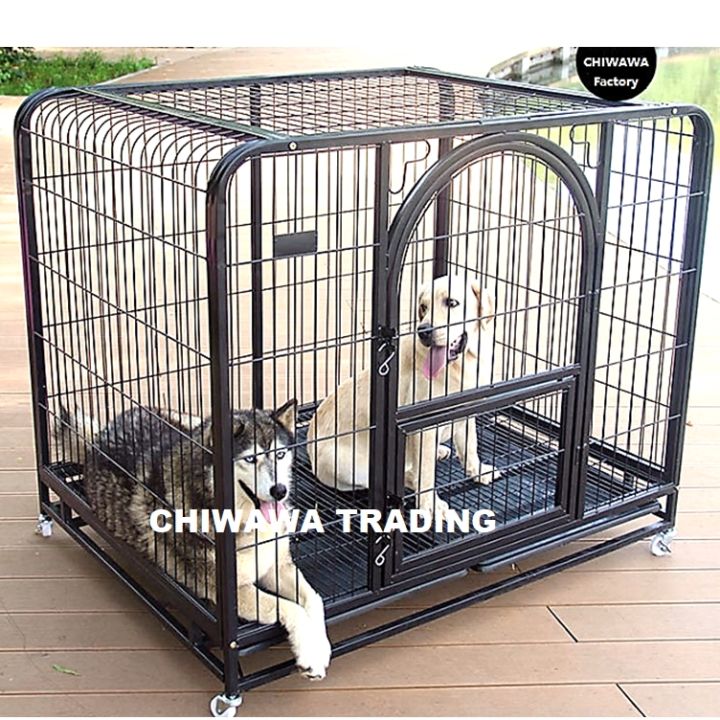 Big dog hot sale cage price