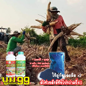 บูม99 ขนาด 500 cc ปุ๋ยน้ำกระตุ้นผลผลิต ส่งฟรีทุกชุด‼️