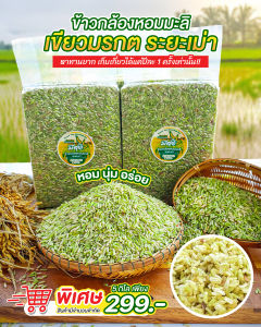 ข้าวกล้องหอมมะลิเขียวมรกต 5 กิโล ตรามีสุข (ระยะเม่า) มีแค่ปีละครั้งเท่านั้น ซีลสูญญากาศ 1 กิโล 5 ถุง