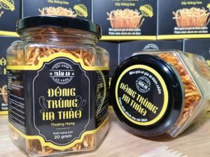 COMBO 2 hộp 20gram ĐÔNG TRÙNG HẠ THẢO khô TRÂM AN loại THƯỢNG HẠNG sấy thăng hoa hỗ trợ và tăng cường sức khỏe - xưởng nhà nuôi cấy đóng gói