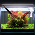 ไฟตู้ปลา led หลอดไฟตู้ปลา ไฟติดตู้ปลา3w/5w/6w/8w สำหรับตู้ปลาขนาด 11-36 นิ้ว ความสว่างสูง ปรับแสงได้ 4 แบบ โคมไฟ 4 แถว. 