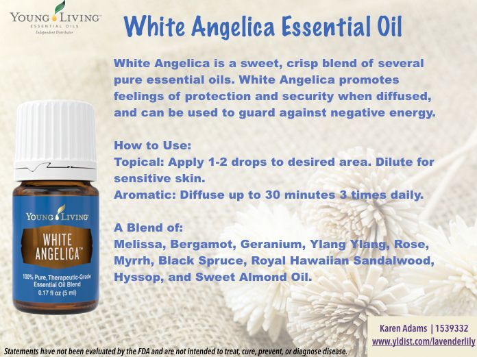 White angelica shop essential oil