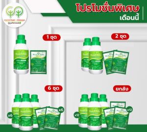 ปุ๋ยน้ำ โปร 369 ชุด คู่หูมหัศจรรย์ เวิลด์แพลนท์ ไคโตซาน World Plant Chitosan + สารเพิ่มประสิทธิภาพ