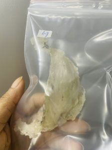 Tổ yến thô nguyên chất nhà nuôi giá dùng thử (7g-8g-10g) tặng kèm đồ trưng