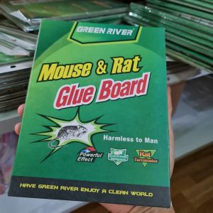 KEO DÍNH CHUỘT SIZE NHỎ MOUSE-RAT bẫy dính chuột an toàn và cực hiệu quả