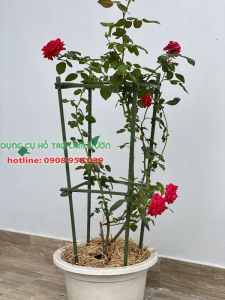 Khung trồng cây cao 90-120cm cạnh 28cm của Nhật dùng từ 5 năm ở nhiệt độ ngoài trời