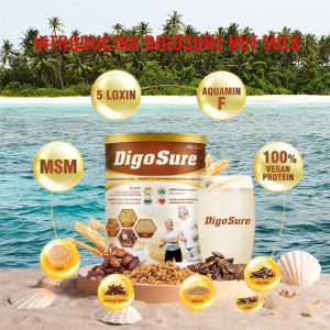 Digosure Milk Organic Bone & Joint Support Nut Milk with MSM Amino Acids & Vitamin D3 - 400g