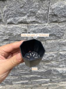 Combo 10c Chậu Nhựa Bát Giác Mini MHK - Chậu Ươm Cây Khoét Lỗ Khử Thấm Chống Thấm Nước Phù Hợp Khoảng Trời