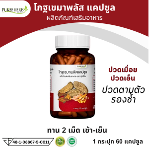 โกฐเขมาพลัส  แคปซูล ตราภูรีเฮิร์บ Puree Herb โกฐเขมา ปวดเมื่อย เส้นยึด เส้นตึง รองช้ำ 1 กระปุก 60 แคปซูล