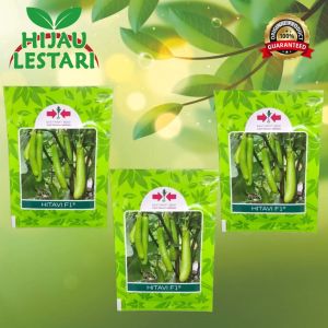 HITAVI F1 (isi 1.100 butir) - Benih Bibit Biji Terong Hijau - Tahan Virus Gemini - Cap Panah Merah