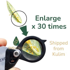 Magnifying Glass 30X 40X Kanta Pembesar Pocket Size 放大镜 SHS Kebun