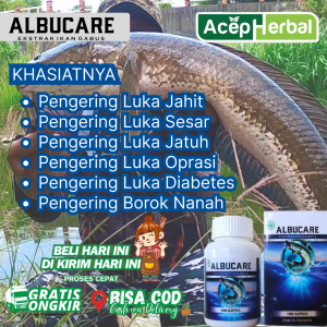 Obat Pengering Luka Oprasi Pengering Luka jahitan Pengering Luka pasca sesar Pengering Luka jatuh Pengering Luka diabetes  Pengering Luka bakar Pengering Luka sobekan Tidak ada penilaian