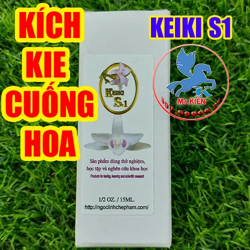K%C3%8DCH%20KIE%20CU%E1%BB%90NG%20HOA%20PHONG%20LAN%20-%20KEIKI%20S1%20-%20Image%202