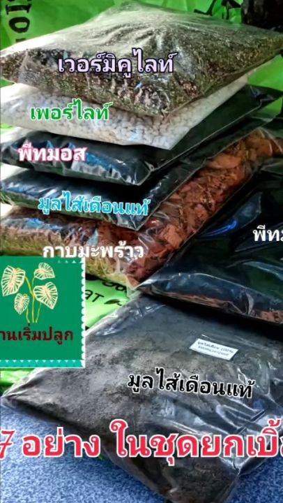 ดินปลูกต้นไม้ เบิ้ลพีทมอสและมูลไส้เดือน สำหรับไม้ฟอกอากาศไม้ด่าง