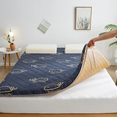 Single/Double/Queen/King Foldable Mattress Dual-use Foam Tatami Mattress Protector Topper Bed Mattresses Floor Banig With Foam