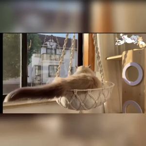 ins ตะกร้าเปลญวนแมวทอมือ   ตะกร้าแขวนสัตว์เลี้ยงในครัวเรือนกรงสุนัขแมวแกว่งกระเป๋าตาข่ายแมวของเล่น