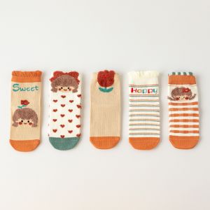 Kids 5 Pairs Cotton Socks Soft Breathable Princess Lace Socks Cute Design for Kids Boys and Girls 1-12 Years Old