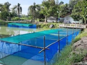 กระชังเลี้ยงปลา กระชังน้ำพร้อมใช้งาน เลี้ยงปลา เลี้ยงกบ เลี้ยงหอย เลี้ยงสัตว์น้ำ สูง1.20เมตร (มีเก็บปลายทาง)