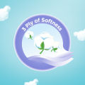 Kleenex Teddy Soft 3-Ply Facial Tissues Soft Box - 4 Packs. 