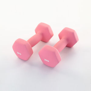【รับประกัน 1 ปี】ดัมเบล 1kg/2kg/3kg 2ชิ้น 4kg-6KG ออกกำลังกาย ฟิตเนส ดัมเบลสำหรับผู้หญิง dumbell 2 kg-3 kg