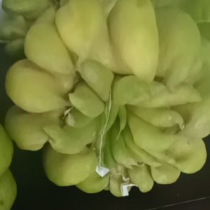 Phật thủ 1 quả 500-700g