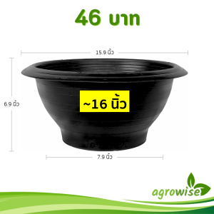 กระถาง อ่างบัว อ่างชวนชม 16 นิ้ว สีดำ Bundle 10 ใบ ชิ้น อัน