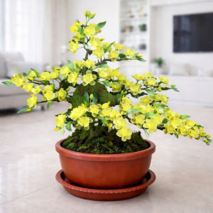 Set vật liệu làm cây hoa mai đào trang trí đón Tết hoa đá pha lê S0212