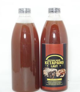 600 ml EKSTRAK Ketapang Super PEKAT Kualitas Ekspor TREATMENT CHANNA