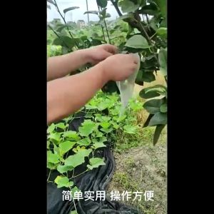 300pcs Grapes Fruit Grow Bags Mesh Breathable Vegetable Plant Protection Bags Pest Control Anti-Bird Garden Netting Bags