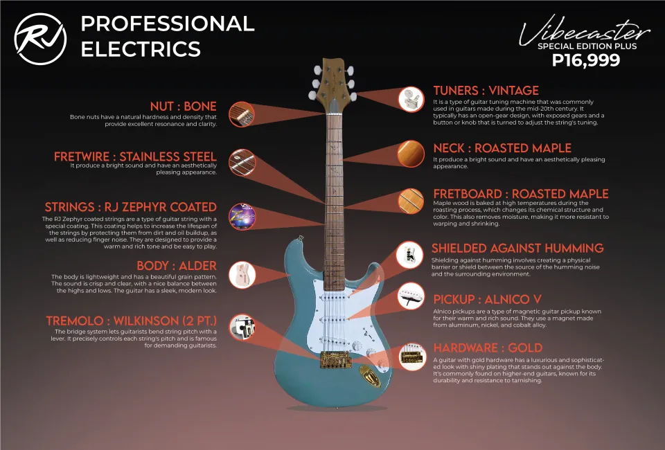 RJ Vibecaster Electric Guitar (Silversky Stratocaster