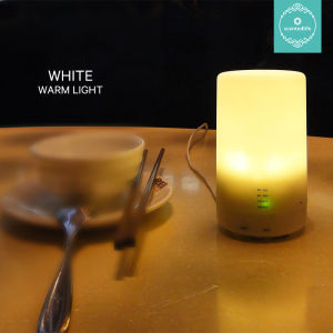 Essential Oil Diffuser Aroma Diffuser Minimalist Design With USB 125ml 4 Timer Setting Home Appliances Heating Cooling Ventilation Humidifiers