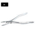 Adult Tooth Extracting Forceps Extraction Pliers Dental Instrument. 