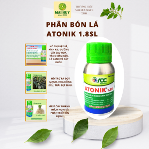 PHÂN BÓN LÁ ATONIK 1.8SL – KÍCH RỄ • BẬT MẦM • TĂNG SINH TRƯỞNG - MAI HUY SINCE 2008