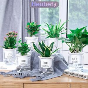 Heabety  Chậu hoa Trong Suốt Tự tưới cây chậu hoa trang trí sân vườn nhà
