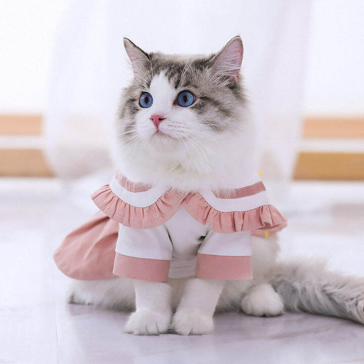 Kitten dress sales