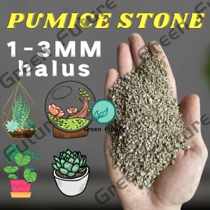 PUMICE STONE 轻石 CACTUS SUCCULENT 轻石 浮石 多肉轻石/浮石 filter batu apung