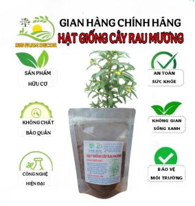 100g hạt giống cây rau mương - tâm đức
