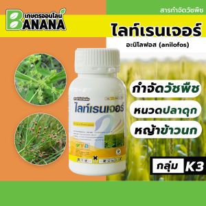 ไลท์เรนเจอร์ อะนิโลฟอส (anilofos) พุ่มพวง หญ้าข้าวนก หญ้าใบแคบ ดอกขาว 1 ขวดผสมยาคุมฉีดได้ 5 ไร่ (7-10 วัน) ฉีดในนาข้าว