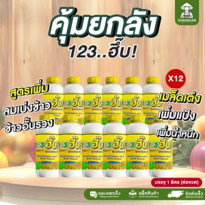 เพิ่มลมแบ่ง เมล็ดเต่ง เพิ่มแป้ง เพิ่มน้ำหนักผลผลิต โปรยกลัง 12 ลิตร แก้ข้าว อั้นรวง ผลผลิต ต่อไร่สูง ข้าวเต็มเมล็ด