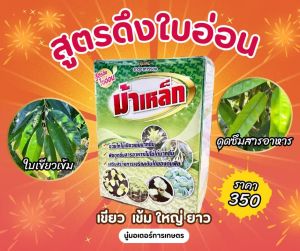 ม้าเหล็ก 1 ลิตร สูตรดึงใบอ่อน