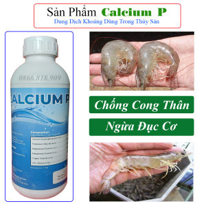 Khoáng Nước Calcium Bổ Sung Thức Ăn Giúp Cứng Vỏ Tôm Ngừa Cong Thân Cho Tôm